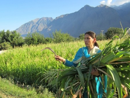 Farmer Bibi Baskiya describes the sudden cloudburst that damaged her maize crop just a few days from harvest time in Danyore, a village in Gilgit district in Pakistan’s Upper Indus Basin area. TRF/Saleem Shaikh