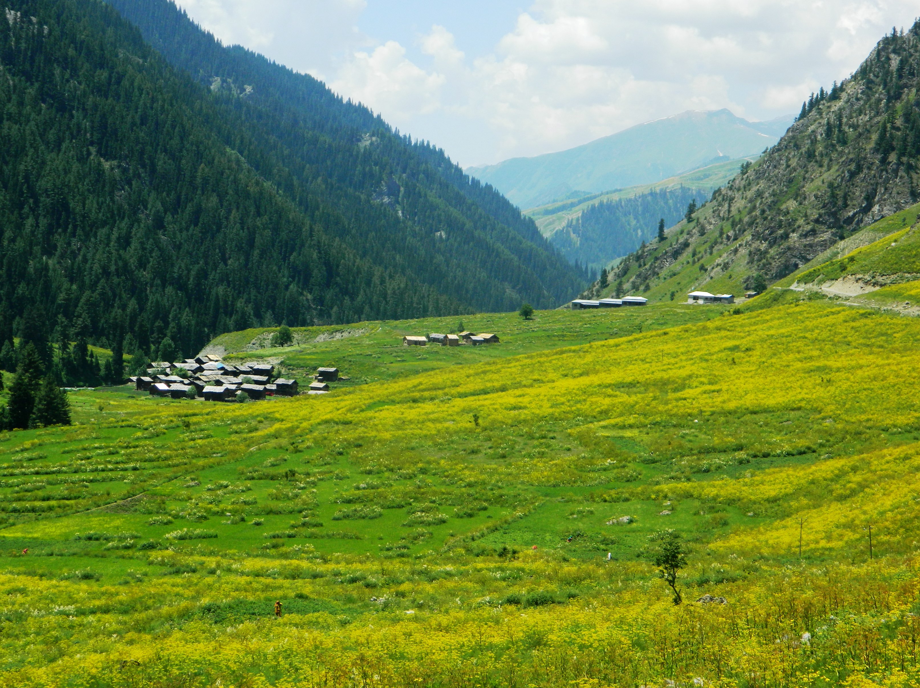 A small hamlet located at the age a slope in the Minimarg Valley 