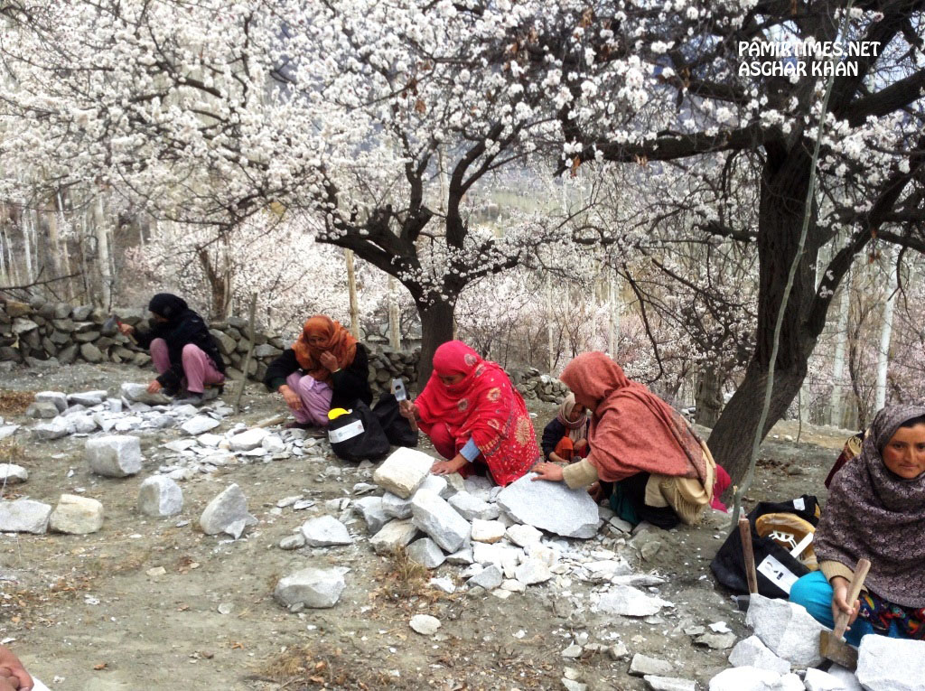 The women in Hunza Valley are playing an increasingly active and visible role in non-traditional arenas of economic activity