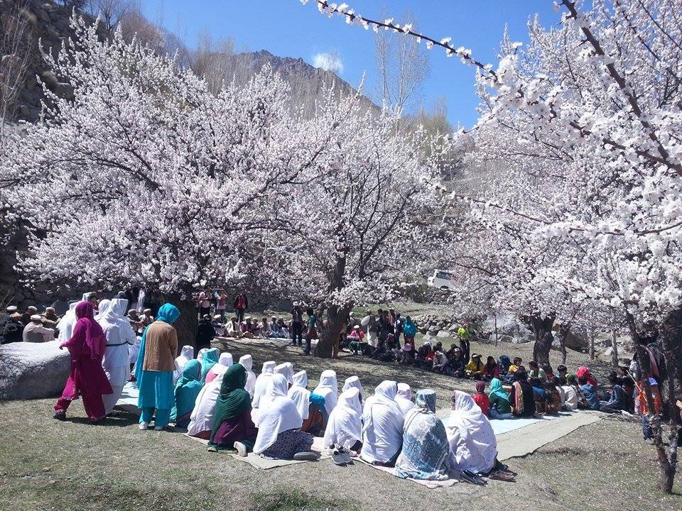 Senior citizens gathered to celebrate the spring festival. Photo: MountainTV.NET